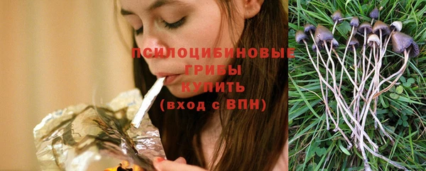 индика Алексеевка
