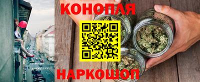 МДПВ Камышлов
