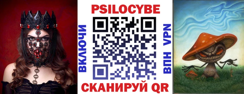 Галлюциногенные грибы Psilocybe  Тара 