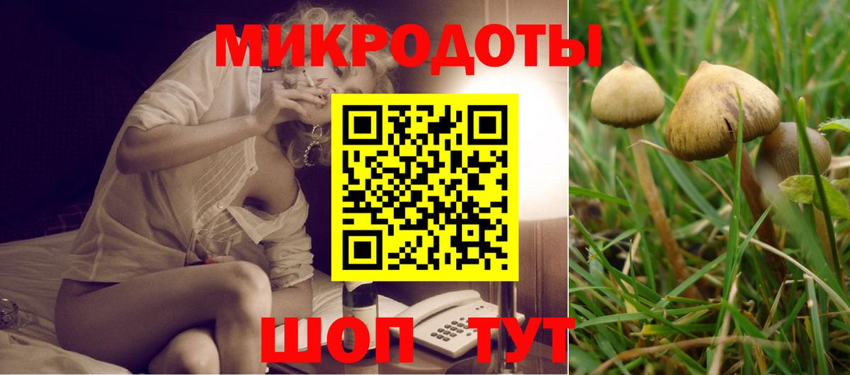 Галлюциногенные грибы GOLDEN TEACHER  Вход с VPN  Тара 